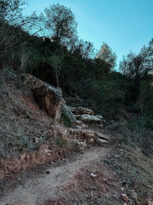 Camino Mirador de la Bauma