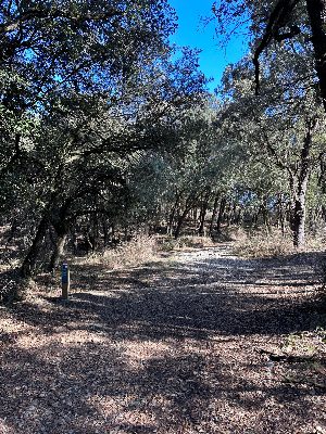 Camino hacia Bosc Magic Savassona