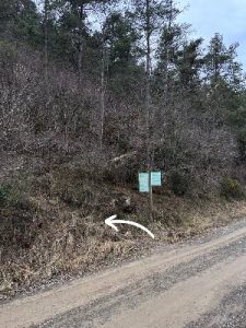 Como llegar al Torrent de la Masica