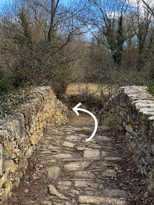 Puente medieval