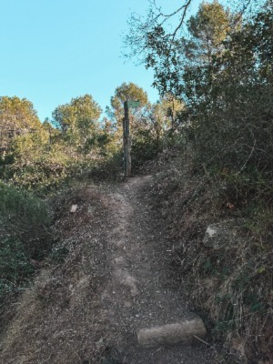 Camino Mirador Bauma