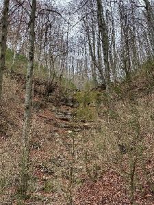 Torrent de la Masica